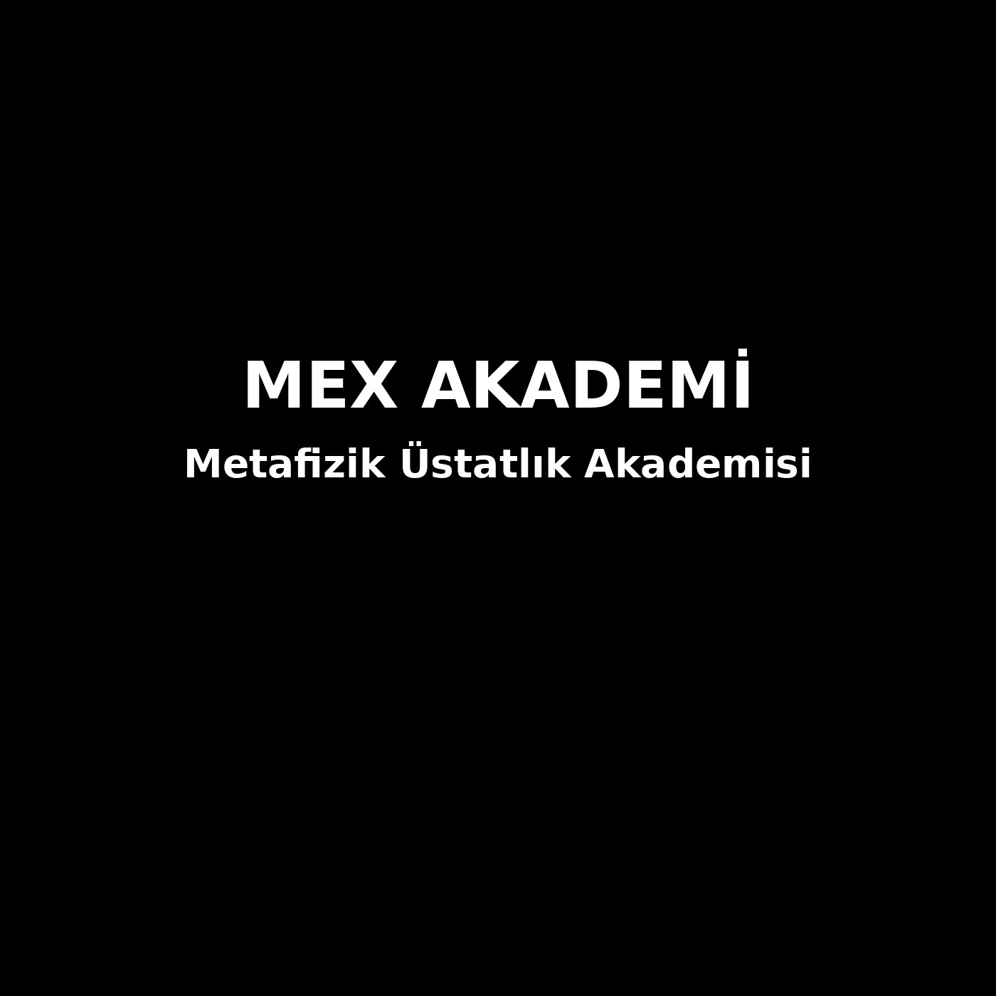 Metafizik Üstatlık Akademisi