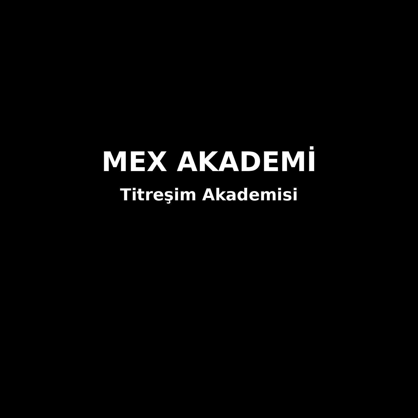 Titreşim Akademisi