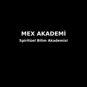 Spiritüel Bilim Akademisi