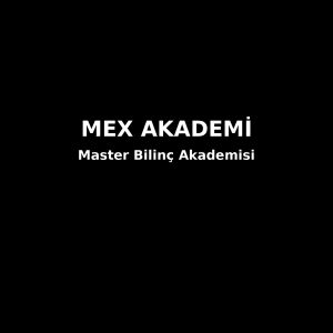 Master Bilinç Akademisi